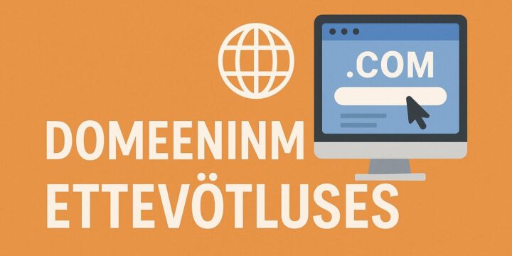 Domeeninimi ettevõtluses